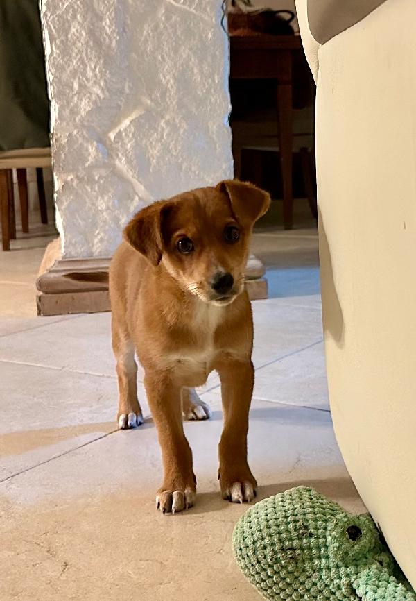 ORNELLA 💗🧸 cerca casa 🏡  Foto 5